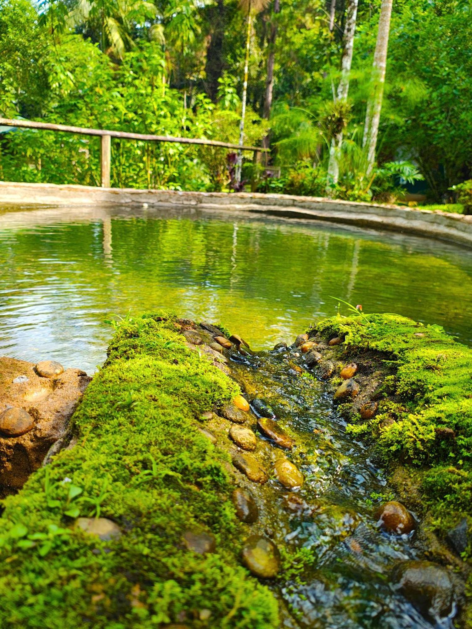 Pousada Romantica Serra Da Mata 佩尼多 外观 照片